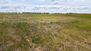 Продается земельный участок для промышленного производства