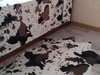 Сдаю 1 комнатную квартиру, улТернопольская 14 Сдаю 1 комнатную квартиру, улТернопольская 14