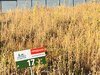 В продаже земельный участок ИЖС в коттеджном посёлке Раздолье
