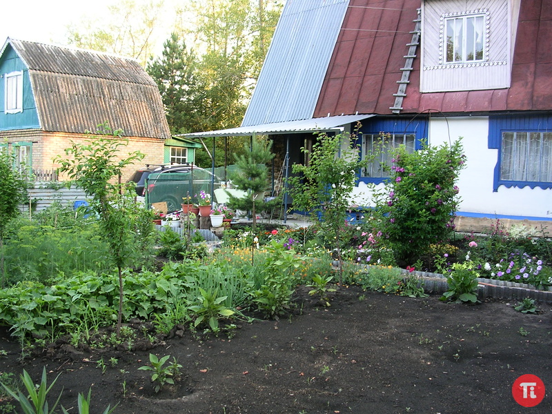 Купить Дачу В Засечном Пенза